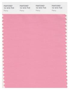 Pantone Smart 15-1816 TCX Color Swatch Card | Peony 