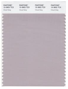 Pantone Smart 15-3802 TCX Color Swatch Card | Cloud Gray 