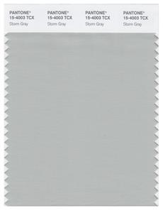 Pantone Smart 15-4003 TCX Color Swatch Card | Storm Gray 