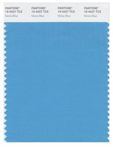 Pantone Smart 15-4427 TCX Color Swatch Card | Norse Blue 