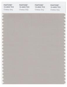 Pantone Smart 15-4503 TCX Color Swatch Card | Chateau Gray 