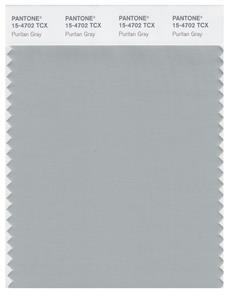 Pantone Smart 15-4702 TCX Color Swatch Card | Puritan Gray 