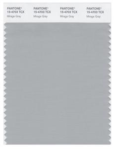 Pantone Smart 15-4703 TCX Color Swatch Card | Mirage Gray 