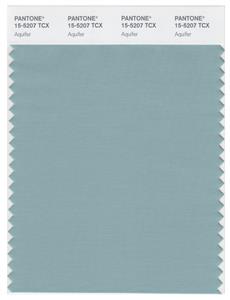 Pantone Smart 15-5207 TCX Color Swatch Card | Aquifer 