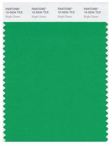 Pantone Smart 15-5534 TCX Color Swatch Card | Bright Green 