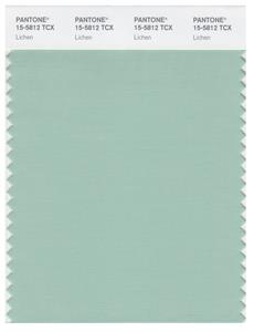 Pantone Smart 15-5812 TCX Color Swatch Card | Lichen 