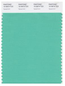 Pantone Smart 15-5819 TCX Color Swatch Card | Spearmint 