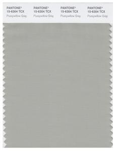 Pantone Smart 15-6304 TCX Color Swatch Card | Pussywillow Gray 