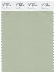 Pantone Smart 15-6313 TCX Color Swatch Card | Laurel Green 