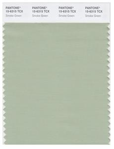 Pantone Smart 15-6315 TCX Color Swatch Card | Smoke Green 