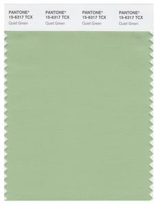 Pantone Smart 15-6317 TCX Color Swatch Card | Quiet Green 