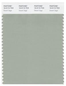 Pantone Smart 16-0110 TCX Color Swatch Card | Desert Sage 