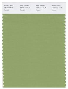 Pantone Smart 16-0123 TCX Color Swatch Card | Tendril 