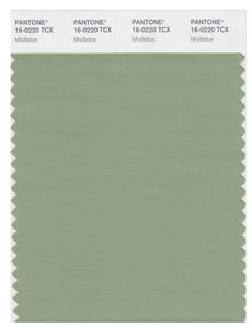 Pantone Smart 16-0220 TCX Color Swatch Card | Mistletoe 