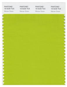 Pantone Smart 16-0230 TCX Color Swatch Card | Macaw Green 