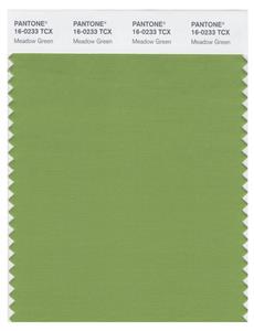 Pantone Smart 16-0233 TCX Color Swatch Card | Meadow Green 