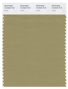 Pantone Smart 16-0526 TCX Color Swatch Card | Cedar 