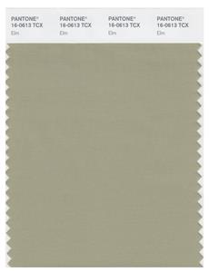 Pantone Smart 16-0613 TCX Color Swatch Card | Elm 