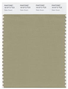 Pantone Smart 16-0713 TCX Color Swatch Card | Slate Green 