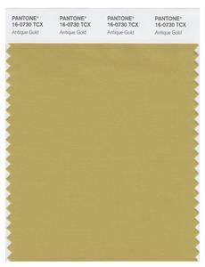 Pantone Smart 16-0730 TCX Color Swatch Card | Antique Gold 