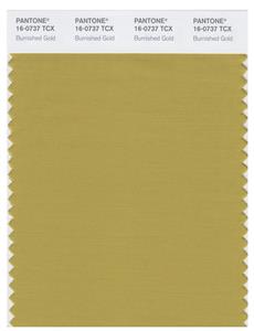 Pantone Smart 16-0737 TCX Color Swatch Card | Burnished Gold 