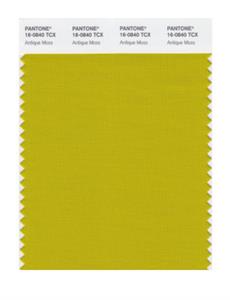 Pantone Smart 16-0804 TCX Color Swatch Card | Antique Moss 