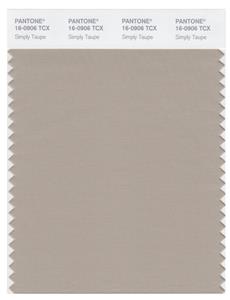 Pantone Smart 16-0906 TCX Color Swatch Card | Simply Taupe 