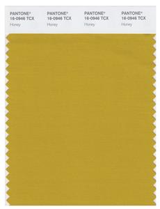 Pantone Smart 16-0946 TCX Color Swatch Card | Honey 