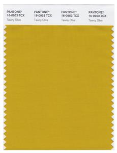 Pantone Smart 16-0953 TCX Color Swatch Card | Tawny Olive 