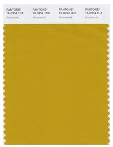 Pantone Smart 16-0954 TCX Color Swatch Card | Arrowwood 