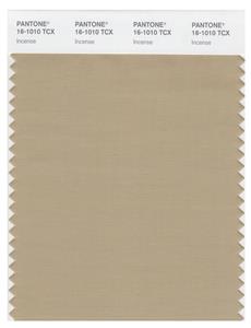 Pantone Smart 16-1010 TCX Color Swatch Card | Incense 