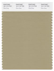 Pantone Smart 16-1110 TCX Color Swatch Card | Olive Gray 