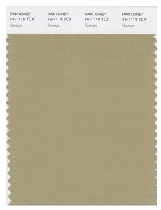 Pantone Smart 16-1118 TCX Color Swatch Card | Sponge 