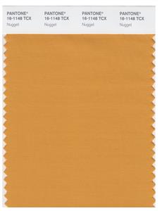 Pantone Smart 16-1148 TCX Color Swatch Card | Nugget 