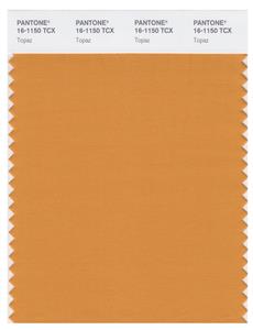 Pantone Smart 16-1150 TCX Color Swatch Card | Topaz 