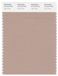 Pantone Smart 16-1210 TCX Color Swatch Card | Light Taupe 