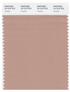 Pantone Smart 16-1219 TCX Color Swatch Card | Tuscany 