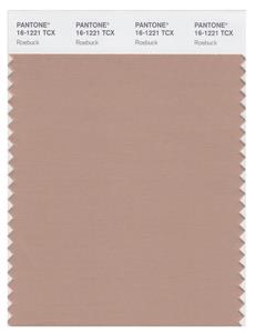 Pantone Smart 16-1221 TCX Color Swatch Card | Roe Buck 