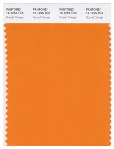 Pantone Smart 16-1255 TCX Color Swatch Card | Russet Orange 