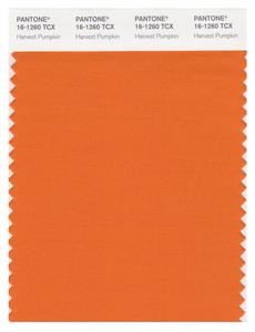 Pantone Smart 16-1260 TCX Color Swatch Card | Harvest Pumpkin 