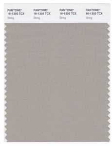 Pantone Smart 16-1305 TCX Color Swatch Card | String 