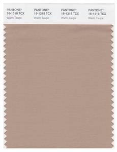 Pantone Smart 16-1318 TCX Color Swatch Card | Warm Taupe 