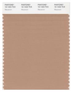 Pantone Smart 16-1323 TCX Color Swatch Card | Macaroon 