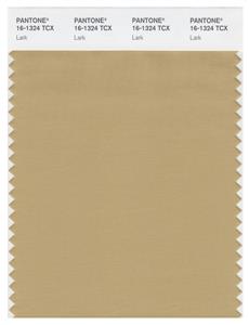 Pantone Smart 16-1324 TCX Color Swatch Card | Lark 