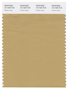 Pantone Smart 16-1326 TCX Color Swatch Card | Prairie Sand 