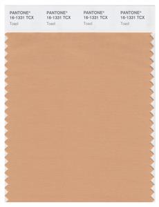 Pantone Smart 16-1331 TCX Color Swatch Card | Toast 