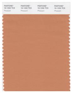 Pantone Smart 16-1332 TCX Color Swatch Card | Pheasant 