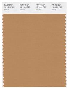 Pantone Smart 16-1336 TCX Color Swatch Card | Biscuit 