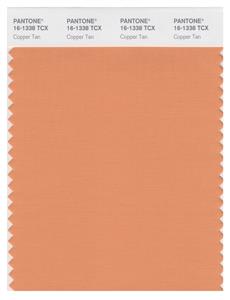 Pantone Smart 16-1338 TCX Color Swatch Card | Copper Tan 