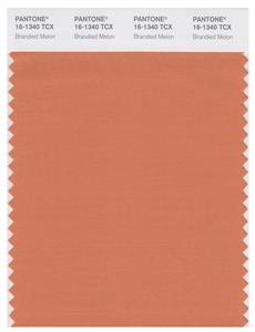 Pantone Smart 16-1340 TCX Color Swatch Card | Brandied Melon 